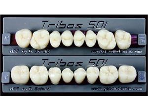 Tribos 501 Posterior TRIBOS 501 SZ A1 PM OK