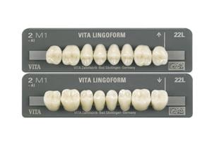 VITAPAN® LINGOFORM Posterior VITA classical A1-D4® Lingoform Sz A1 21L OK