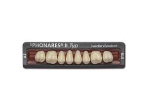 SR Phonares® II Typ Posterior SR Phonares II Typ UK A1 NL3