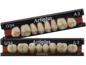 Artiplus V Posterior ARTIPLUS V O28 A1
