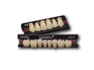 Genios® V Anterior GENIOS V O10 A1