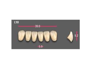 VITAPAN® Anterior VITA SYSTEM 3D-MASTER® Vitapan Fz 0M1 L11