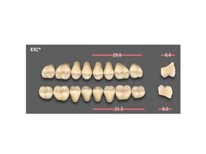 VITAPAN® Posterior VITA SYSTEM 3D-MASTER® Vitapan Sz 1M1 40C OK Master