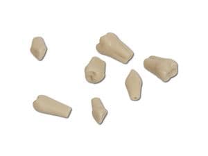 Modellzähne mit Schrauben A-3 ZE, Standardpackung Zahn 11, Packung 10 Stück