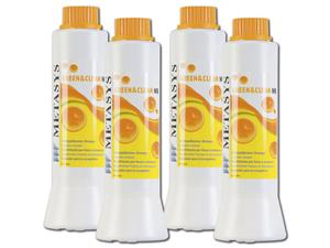 GREEN&CLEAN MB - Nachfüllpackung Flaschen 4 x 500 ml mit 4 Bürsten