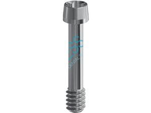 Abutmentschraube Torx® - kompatibel mit AURUMBase® Camlog® Für Yellow Ø 3,8 mm und Pink Ø 4,3 mm