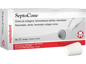 SeptoCone Blister 10 Stück