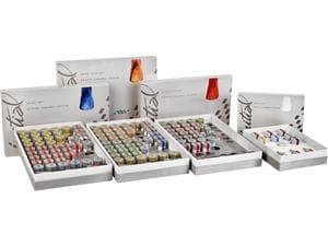 GC Initial™ LF - Bleach Set Set