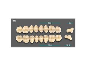 VITA VIONIC® VIGO Posterior VITA classical A1-D4® VIONIC VIGO A1 21L OK