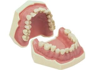 Übungsmodell AG-3 28 FS Modell