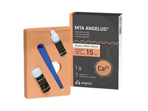 MTA Root Canal Repair Material Weiß, Flasche 1 g