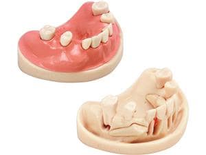 Chirurgie-Trainingsmodell A-J OP OK