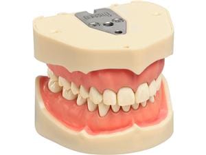 Arbeitsmodell ANKA-4 V Modell