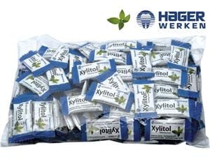 Xylitol Chewing Gum - Beutel Pfefferminze, Beutel 100 x 2 Stück