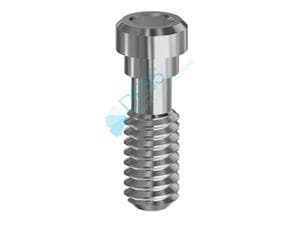 Abutmentschraube 6-Kant 1,27 mm - kompatibel mit Biohorizons® NP Ø 3,70 mm, Standardschraube, Packung 1 Stück
