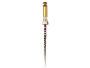 PROTAPER GOLD™ Shaping Files Größe S2, Länge 21 mm, Packung 6 Stück