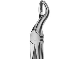 ANATOMICA Zahnzange nach Büchs, Weisheitszahnzange OK Figur 67 (DH767R) - schmal