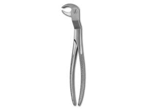 Anatomische Zahnzange DG542R - rechts