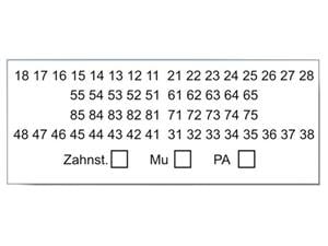 Zahnschema-Etiketten Packung 600 Stück