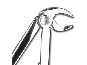 HS-Kinderzahnzange, Frontzahnzange Figur 5, UK, Länge 11 cm