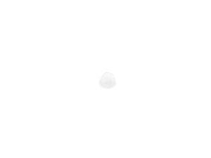 Ceramir® Pediatric Crown - Standardpackung OK rechts, 51/E, small, Packung 1 Stück