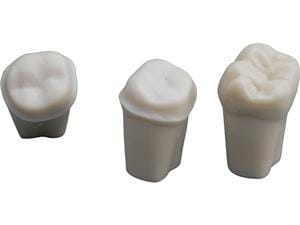 Modellzähne mit Klicksystem ANKA-4 ZP Zahn 36, Packung 10 Stück